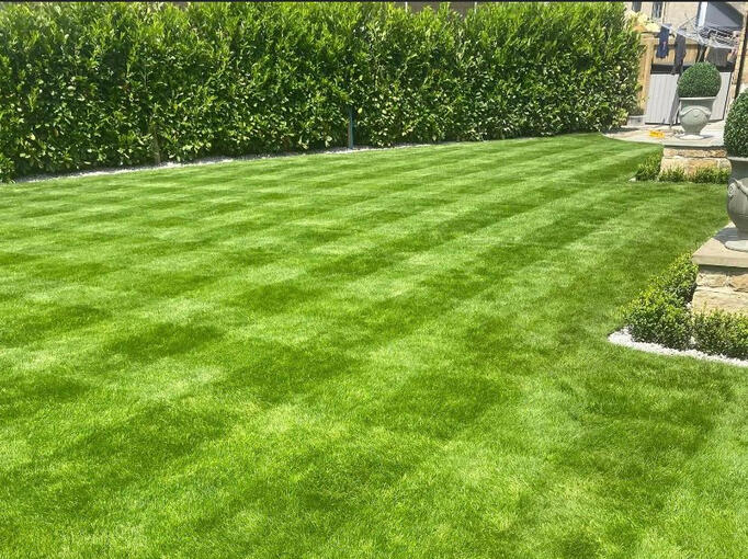 Grass Cutting